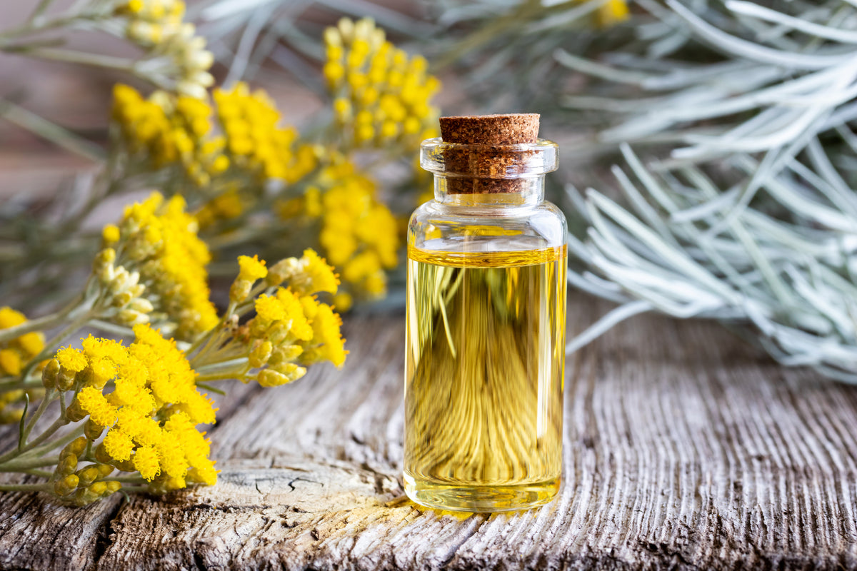 Helichrysum Italicum essential oil in a corked glass bottle over a wooden surface beside fresh Helichrysum Italicum flowers and sprigs.